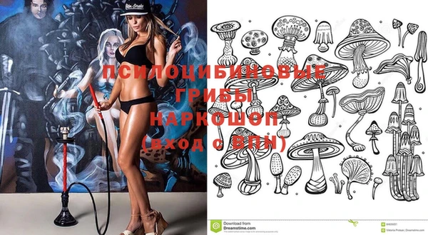 спиды Дмитриев