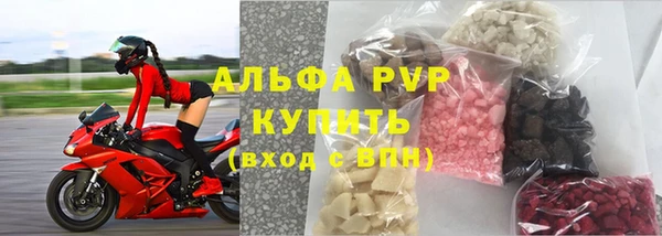 спиды Дмитриев