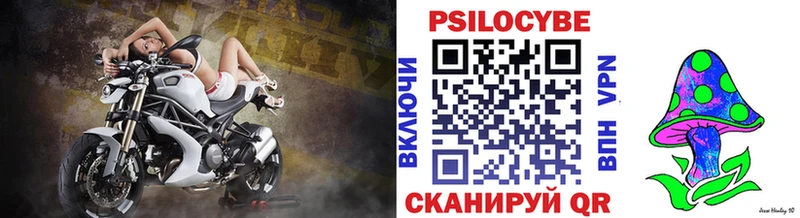 Купить  Змеиногорск  Галлюциногенные грибы мухоморы 
